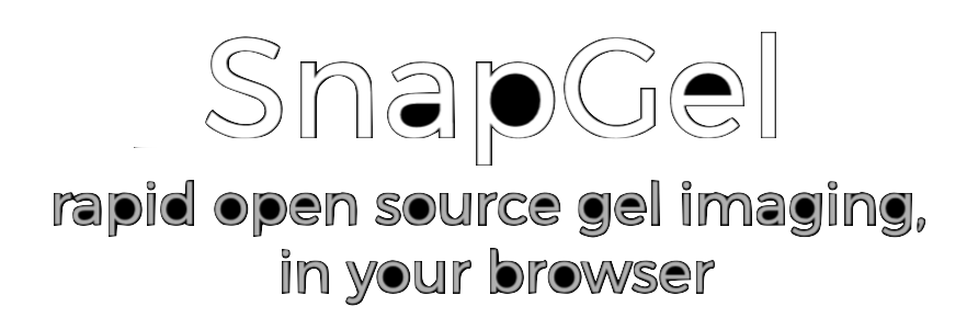 SnapGel - rapid open-source gel imaging, in your browser